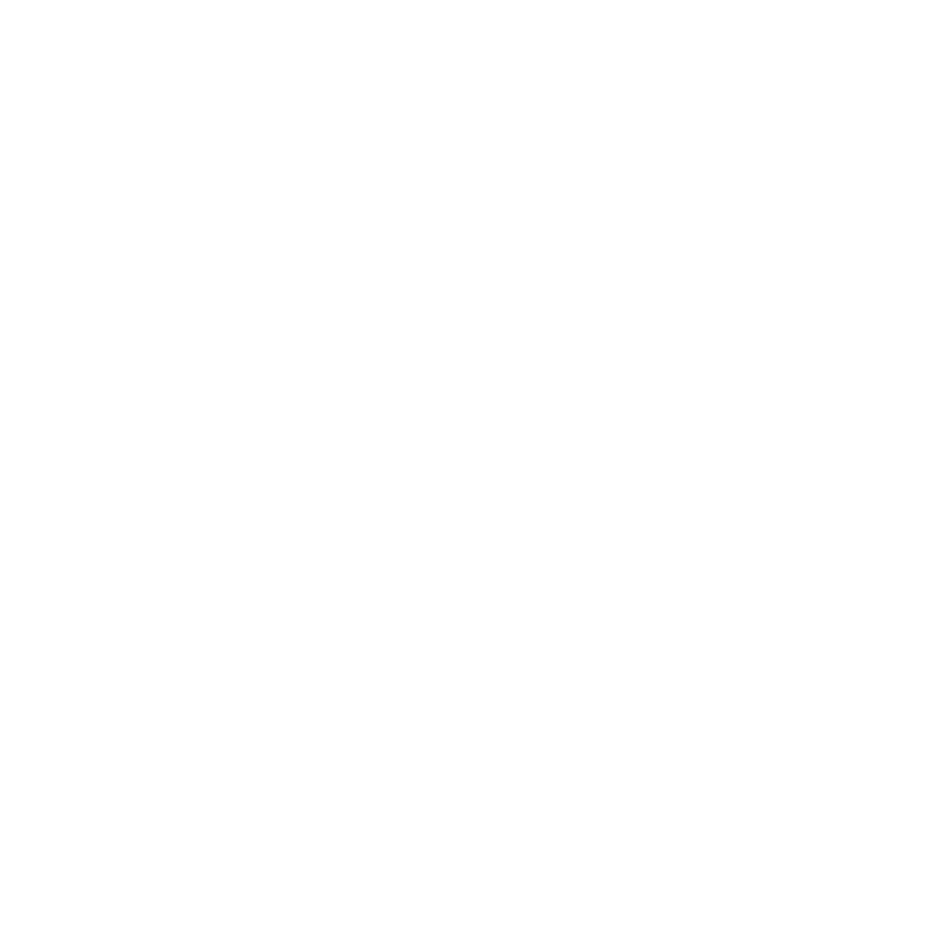 Fast Delivery Icon