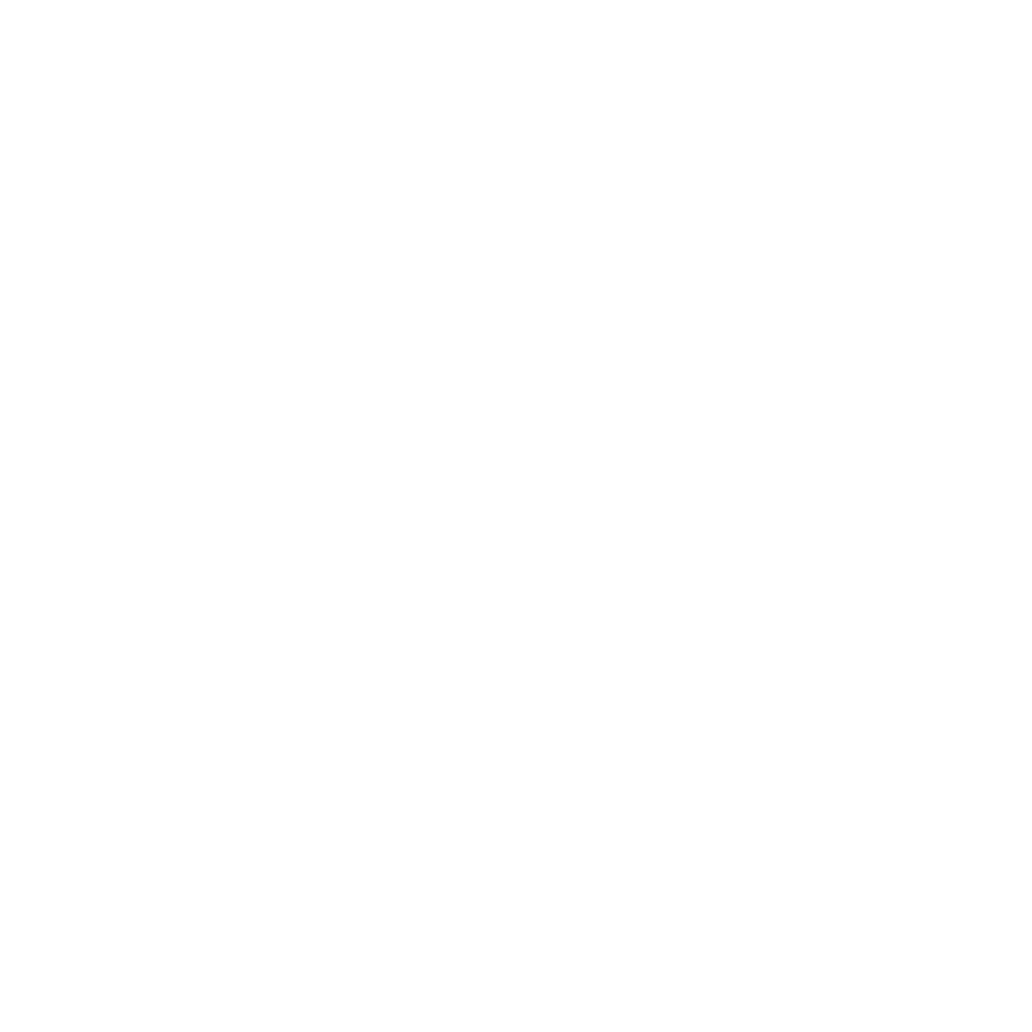 Smiley Face icon