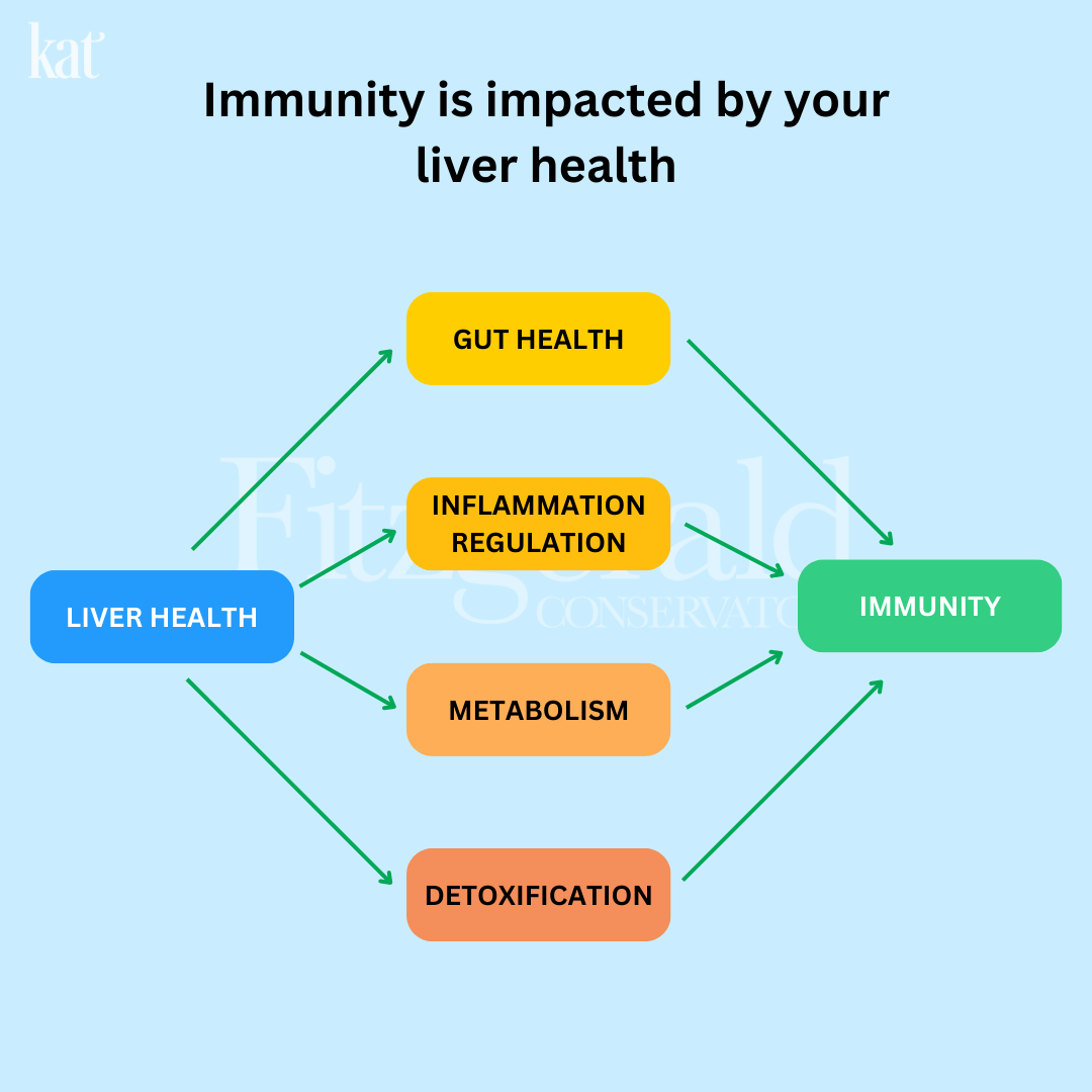 KAT Daily Skin + Liver Detox